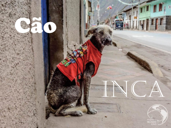 Cão Inca