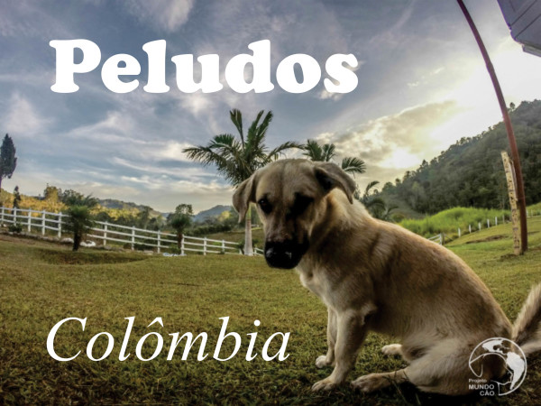 Peludos Colombia